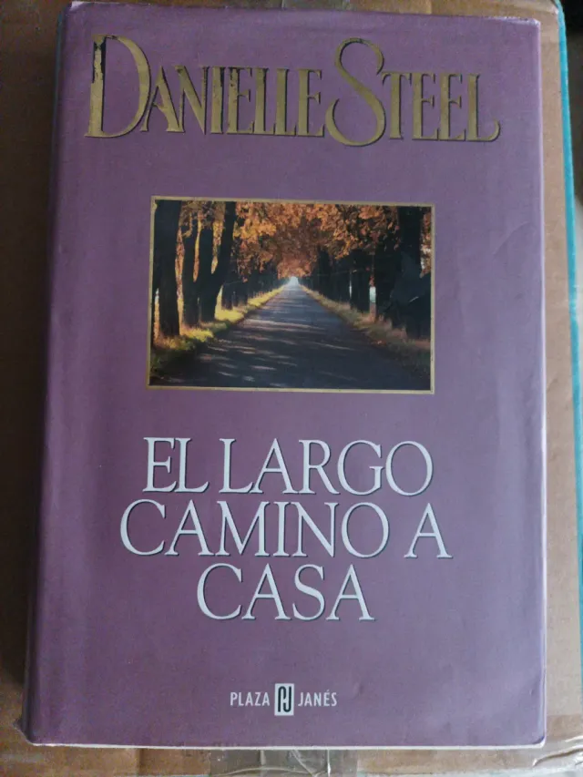 El largo camino a casa (37)
